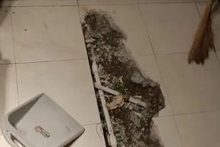 泌阳卫生间漏水检测电话